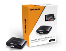 Avermedia AverTV Mobile 310