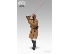 Star Wars - Mace Windu (Sideshow collectible)