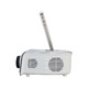 Mini Proyector LCD para iPhone/iTouch Blanco